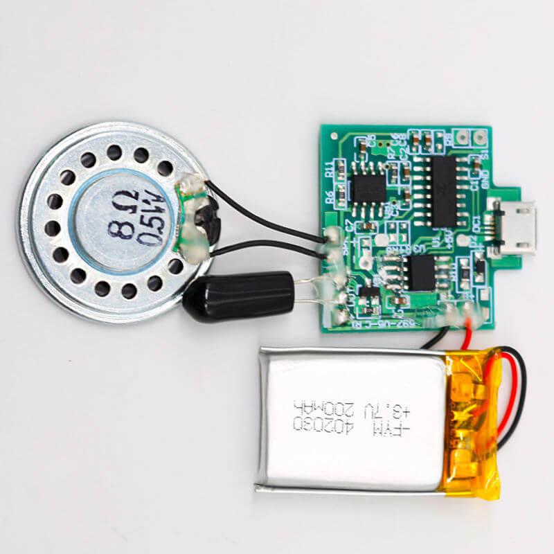 USB recordable sound module