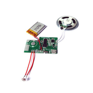 DIY USB Recordable Voice Chip Sound Module For Custom Gifts - Image 3