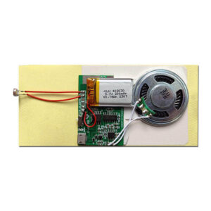 DIY USB Recordable Voice Chip Sound Module For Custom Gifts - Image 4